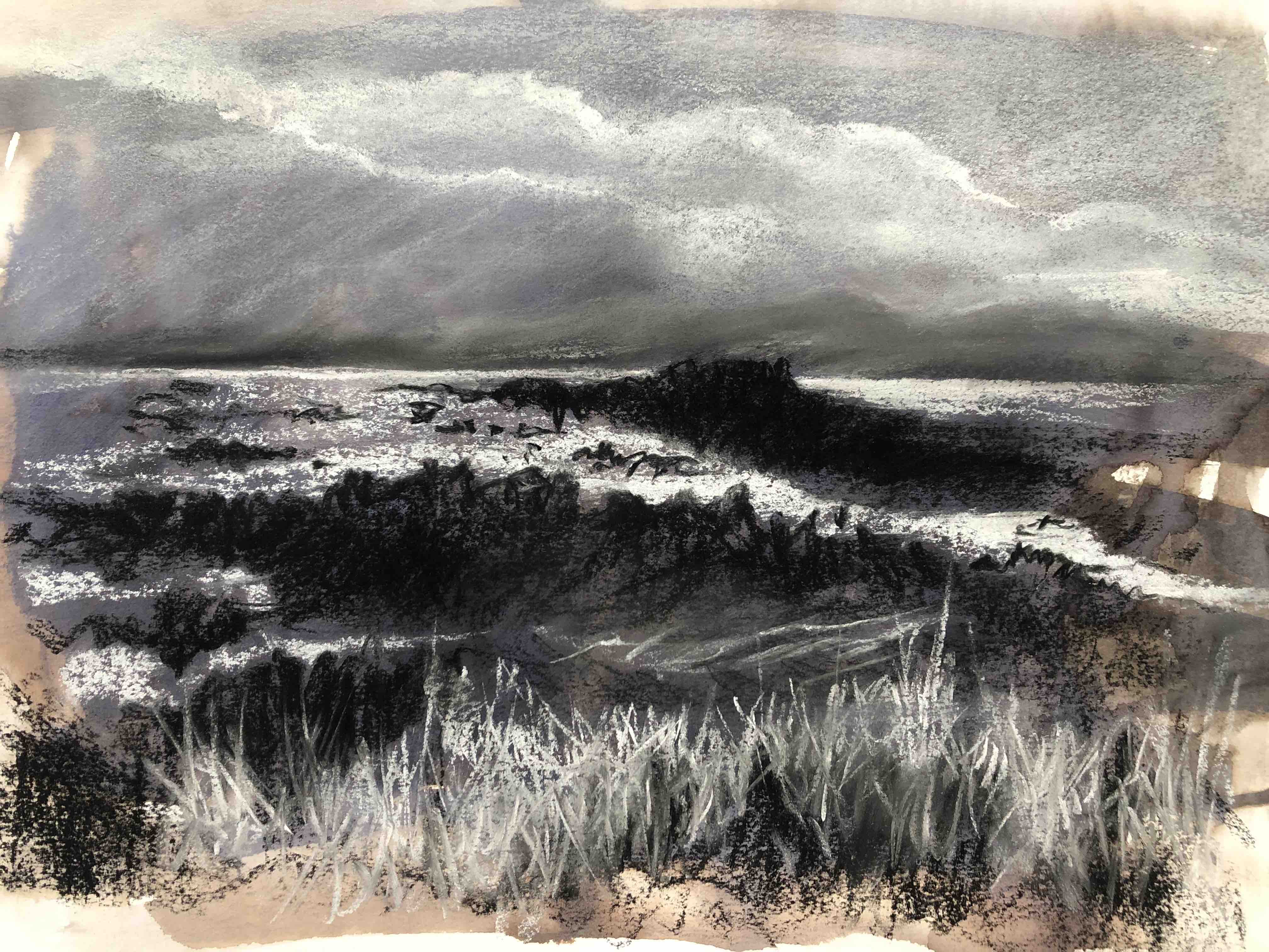 Coast by Cornelle Ellis